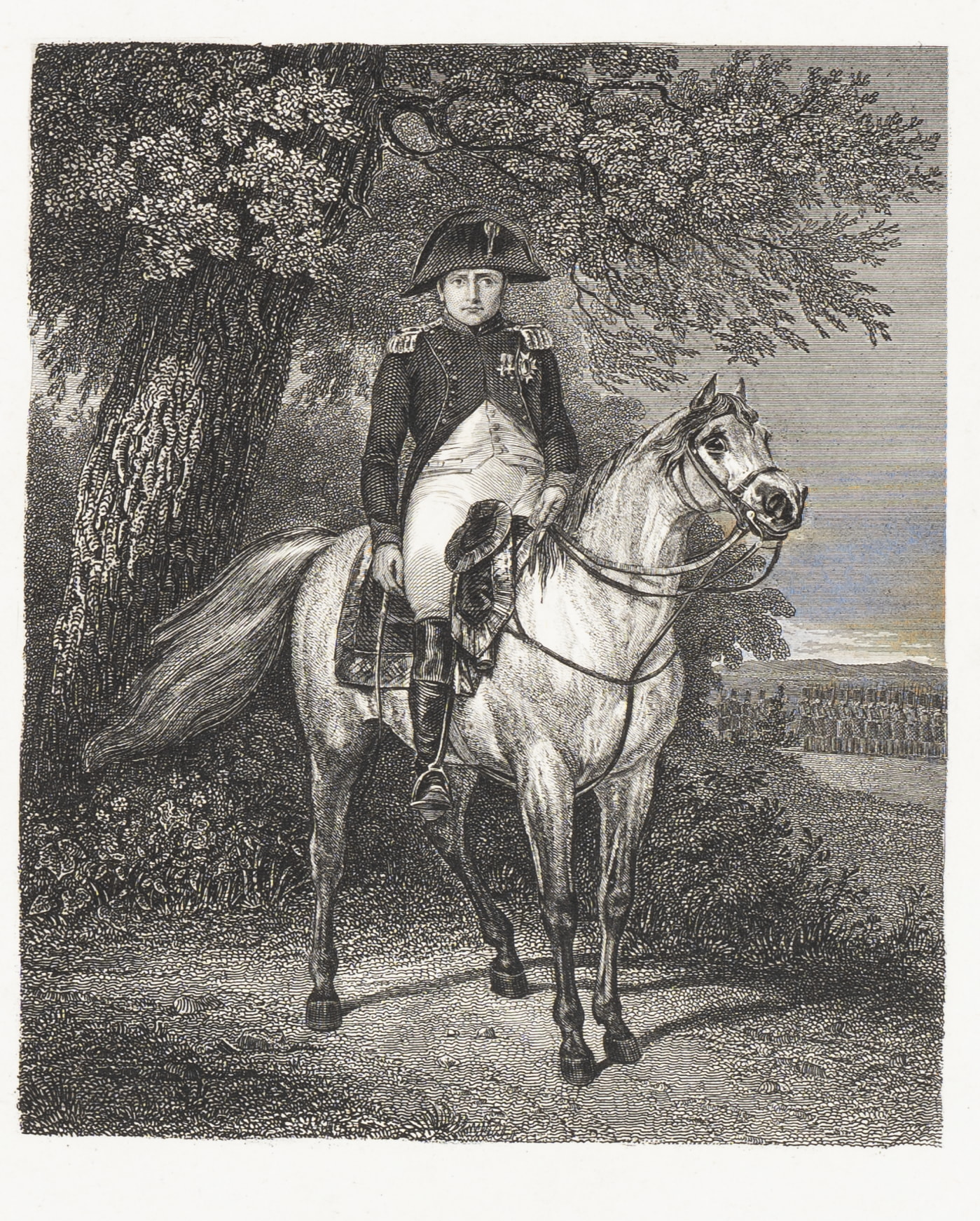 Reiterportrait Napoleon