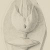 Ansicht 3