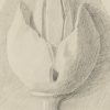 Ansicht 4