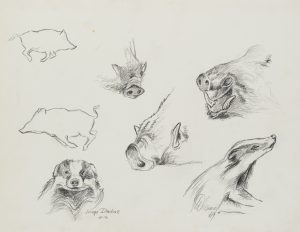Studien von Tierporträts
