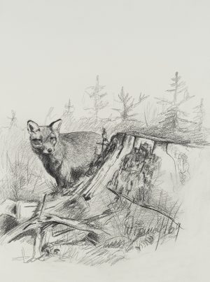 Fuchs im Wald