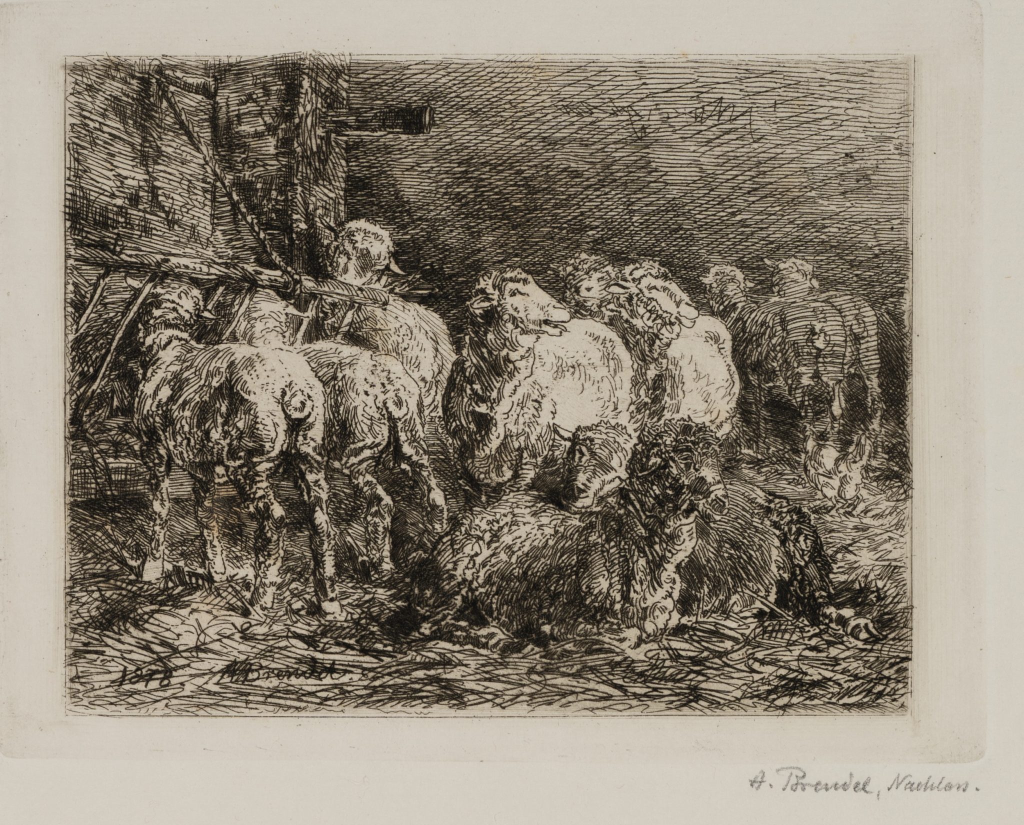 Die Schäferei. Gruppe von Schafen