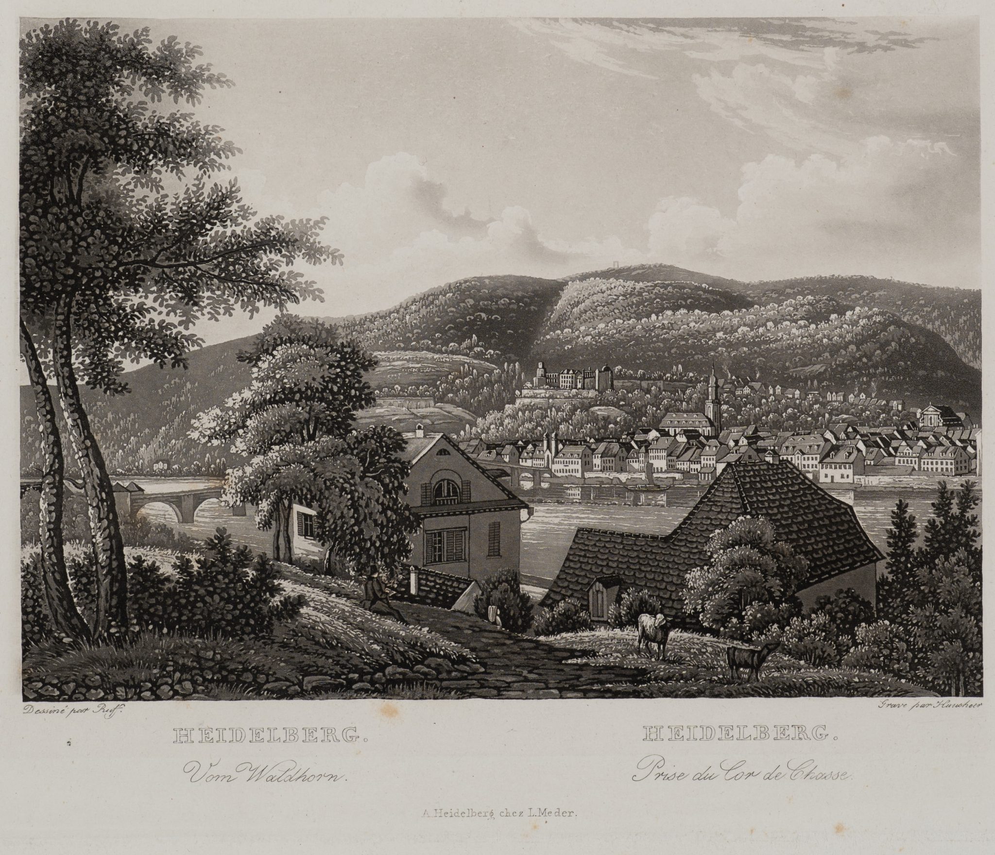 Heidelberg Landschaftsansicht
