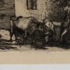Ansicht 5
