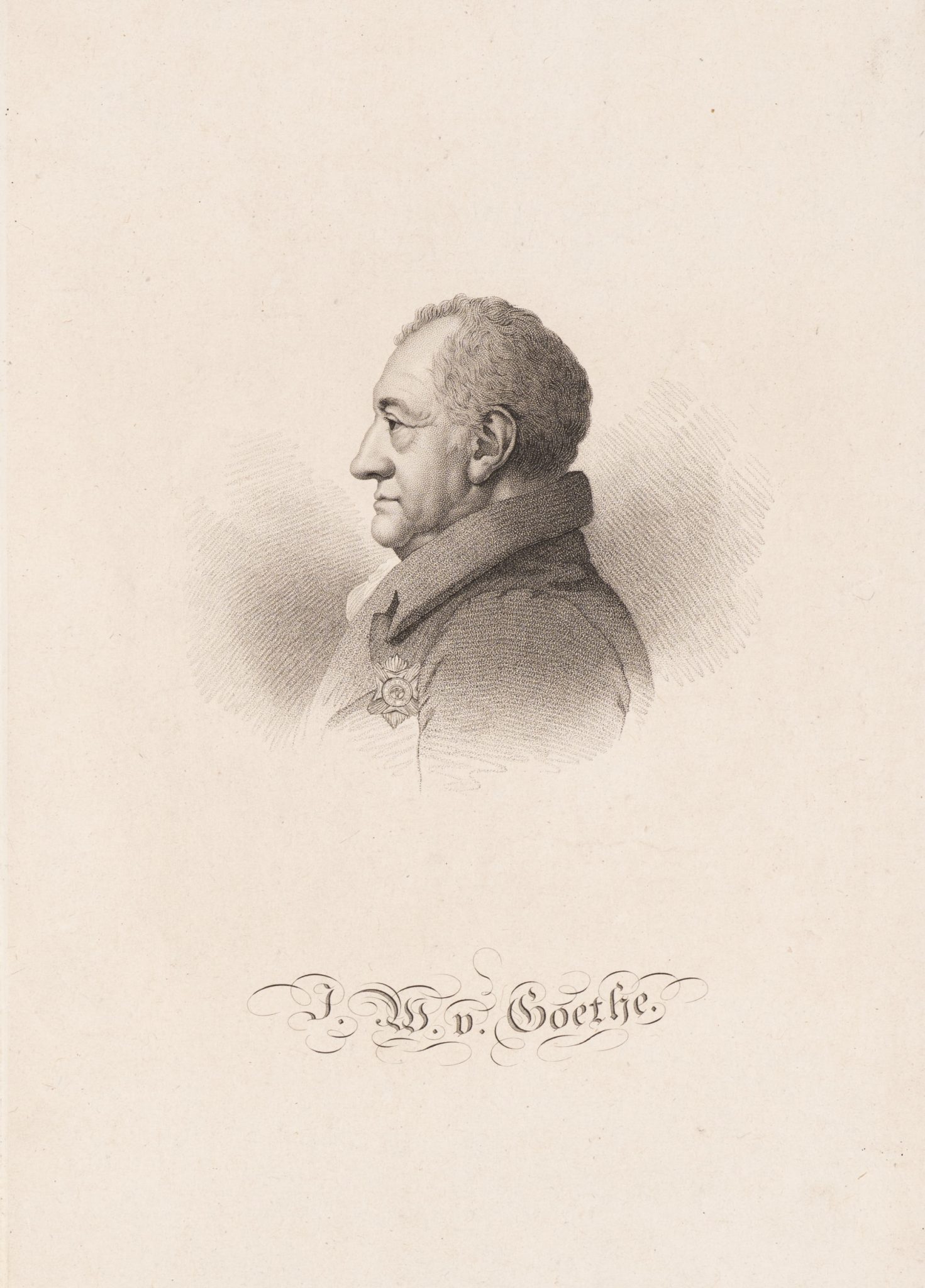 Goethe-Profilporträt