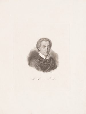 Porträt Johann Wolfgang von Goethe