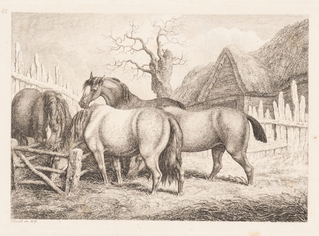 Werk von Samuel Howitt