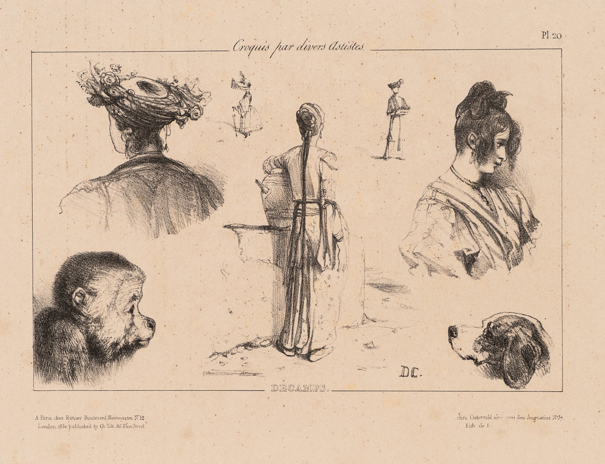 Vielfältige Skizzensammlung