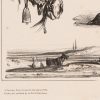 Ansicht 5