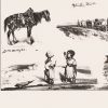 Ansicht 5