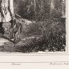 Ansicht 4