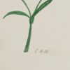 Ansicht 5