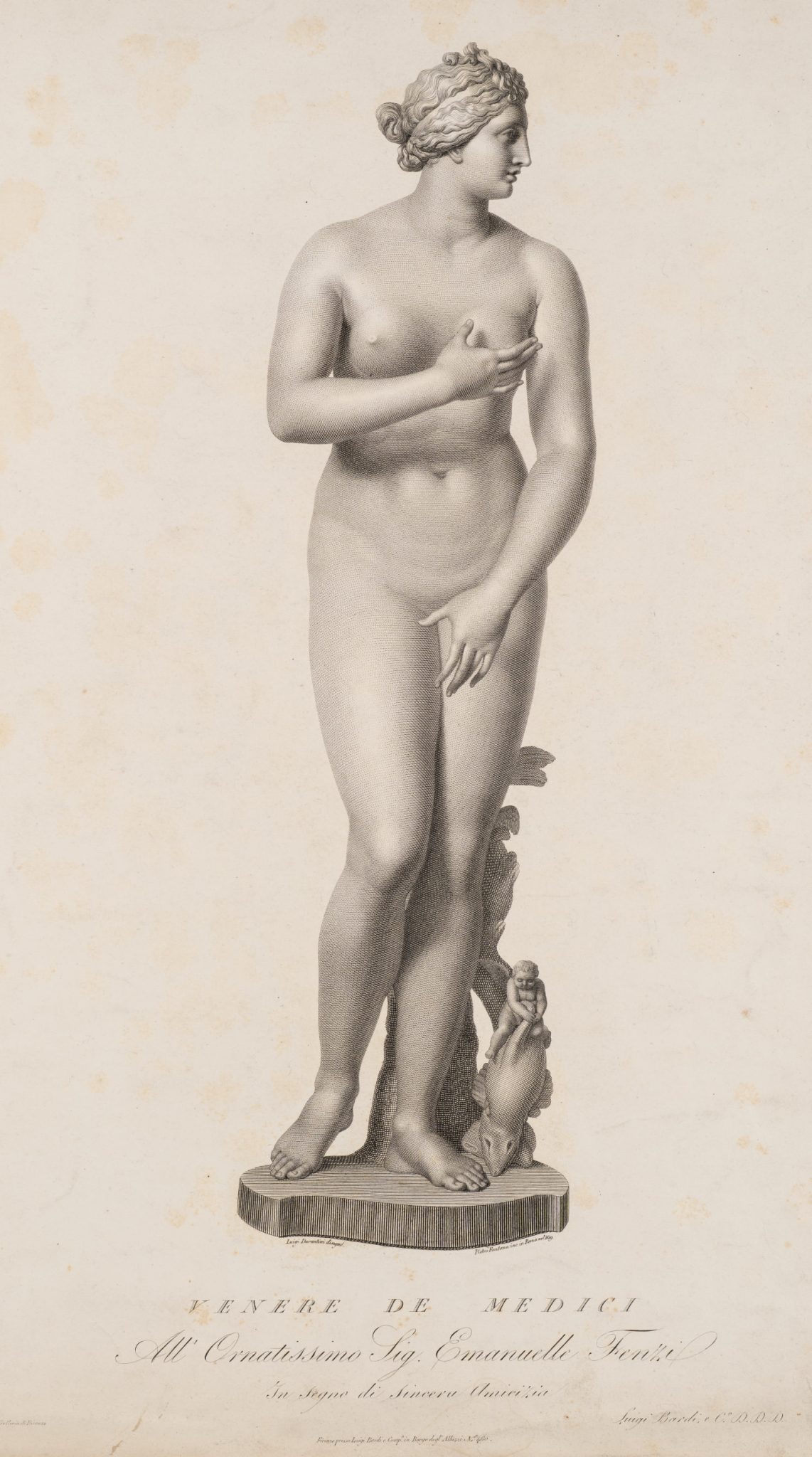 Venus Medici, Venus Pudica