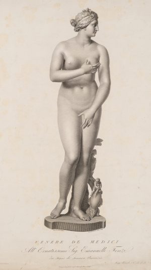 Venus Medici, Venus Pudica
