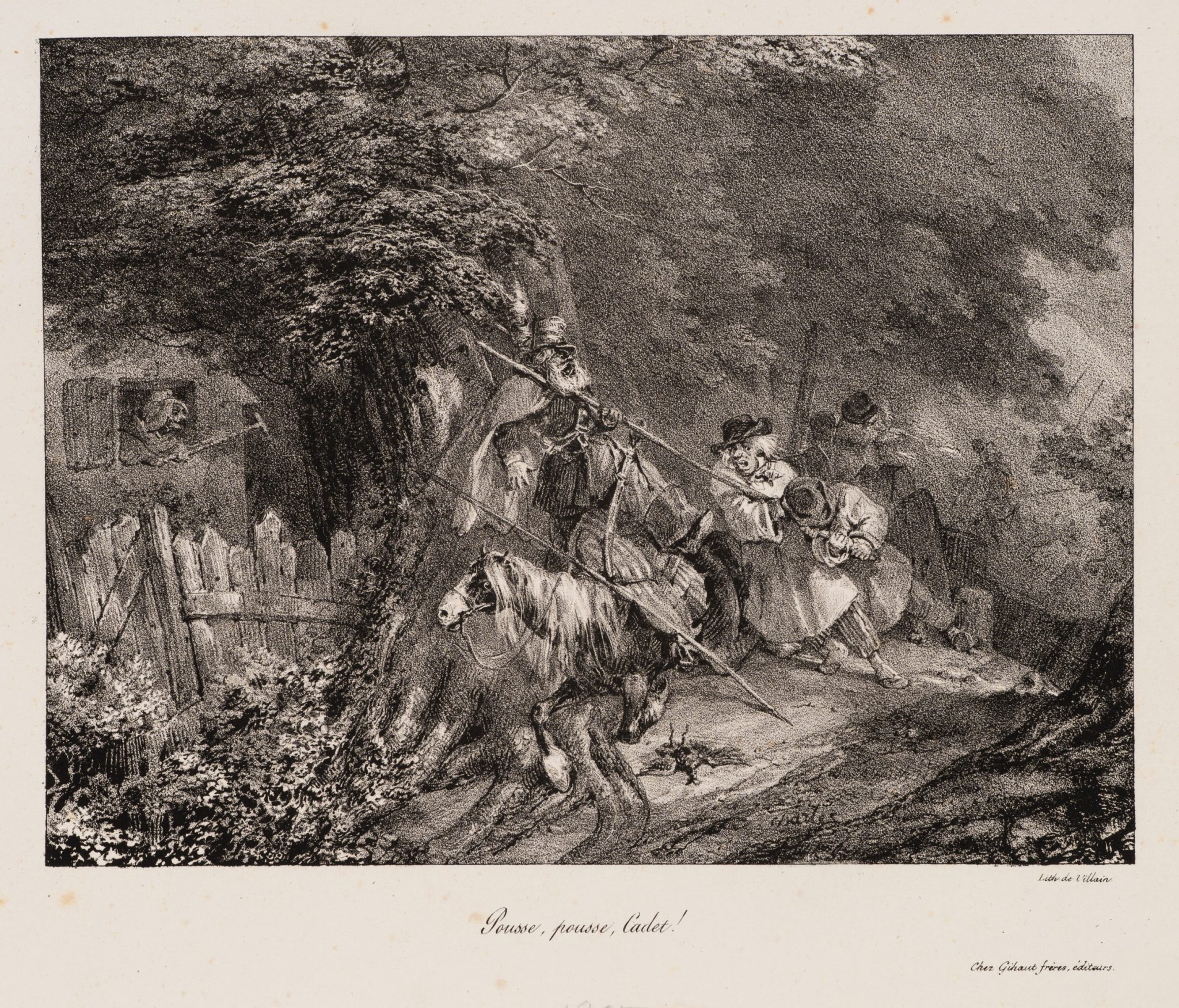 Auf dem Waldpfad