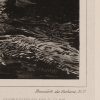 Ansicht 5