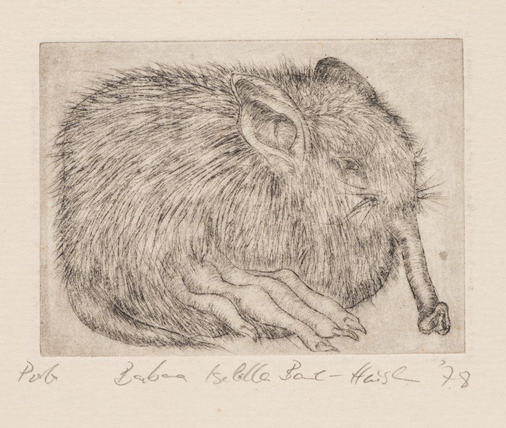 Werk von Barbara Isabella Bauer-Heusler