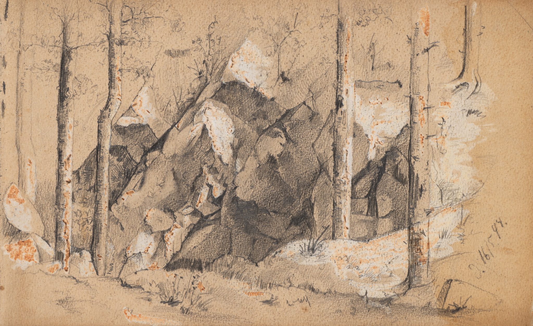 Zerklüftete Felsen im Wald