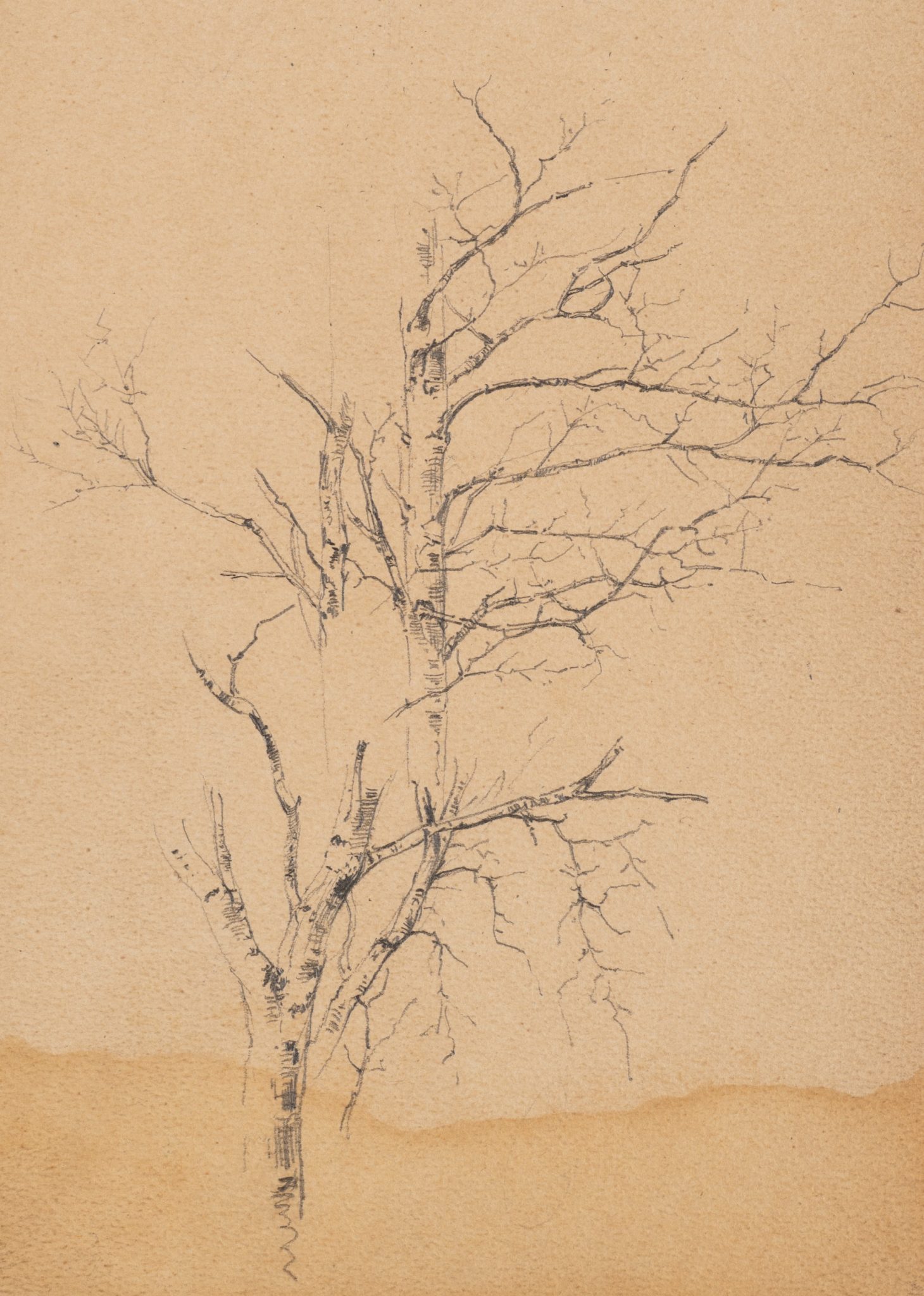Winterlicher Baum