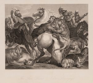 Dramatische Löwenjagd zu Pferd
