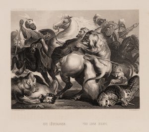 Dramatische Löwenjagd zu Pferd