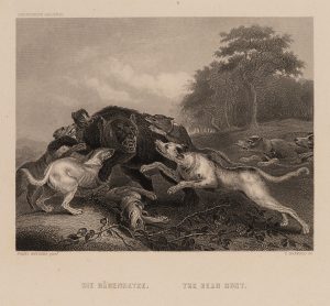 Angriff auf den Bären