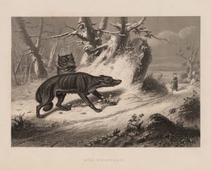 Der Wolfspass