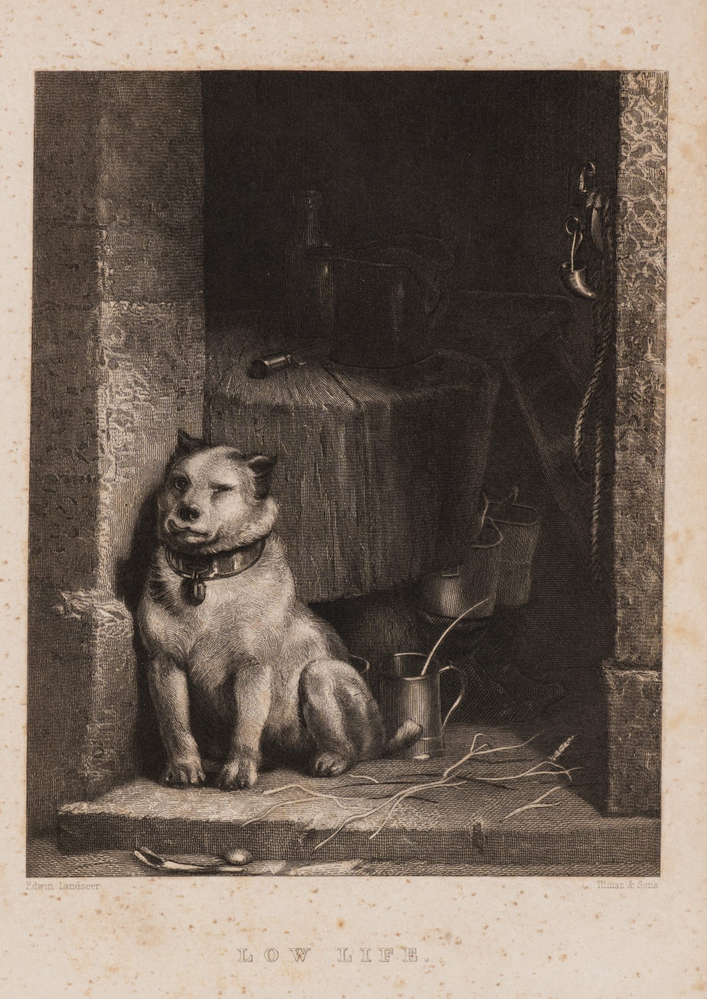 Hund in Werkstattnische