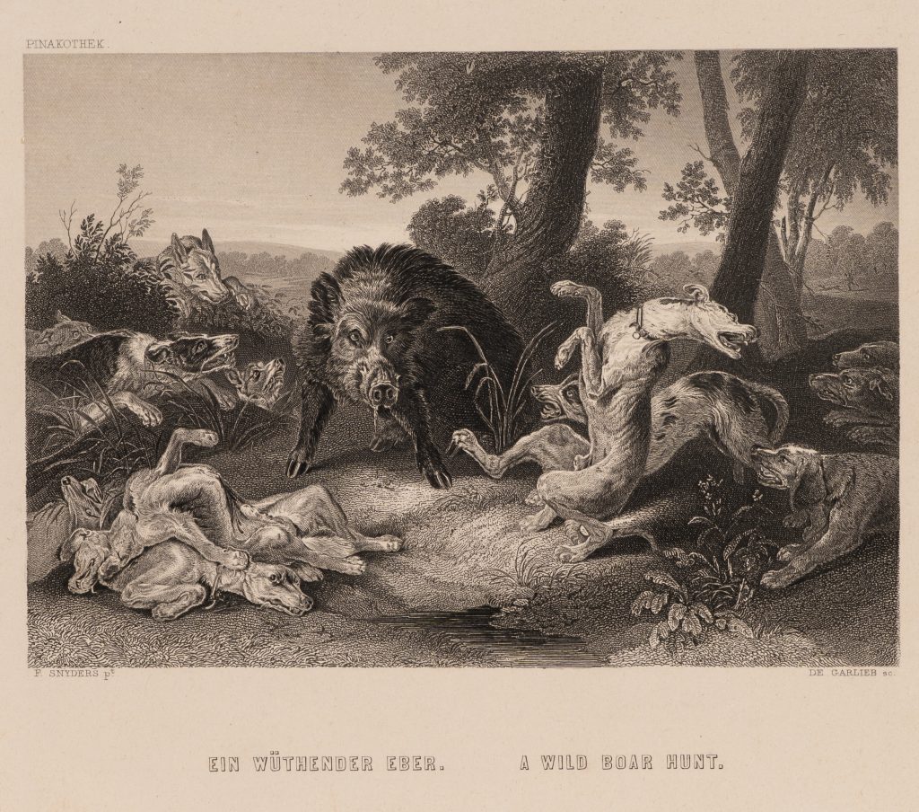 Werk von Nach Frans Snyders