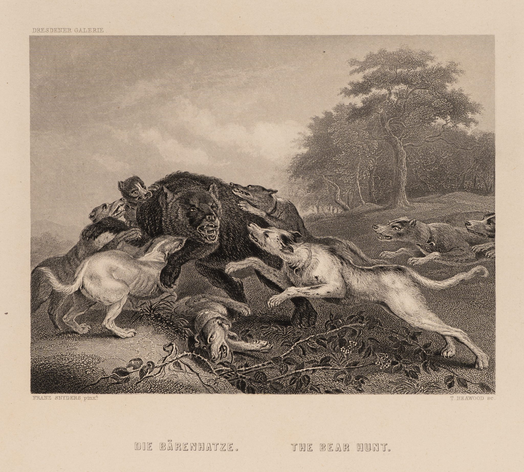 Angriff auf den Bären