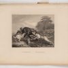 Ansicht 2