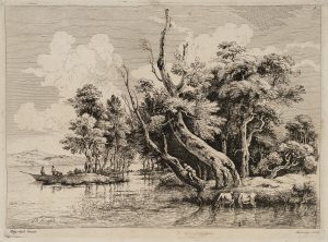 Flusslandschaft mit jungem Fischer