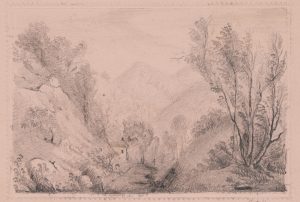 Landschaft mit Bäumen