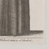 Ansicht 5