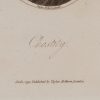 Ansicht 5