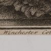 Ansicht 5