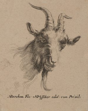 Ziegenkopf