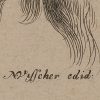 Ansicht 4