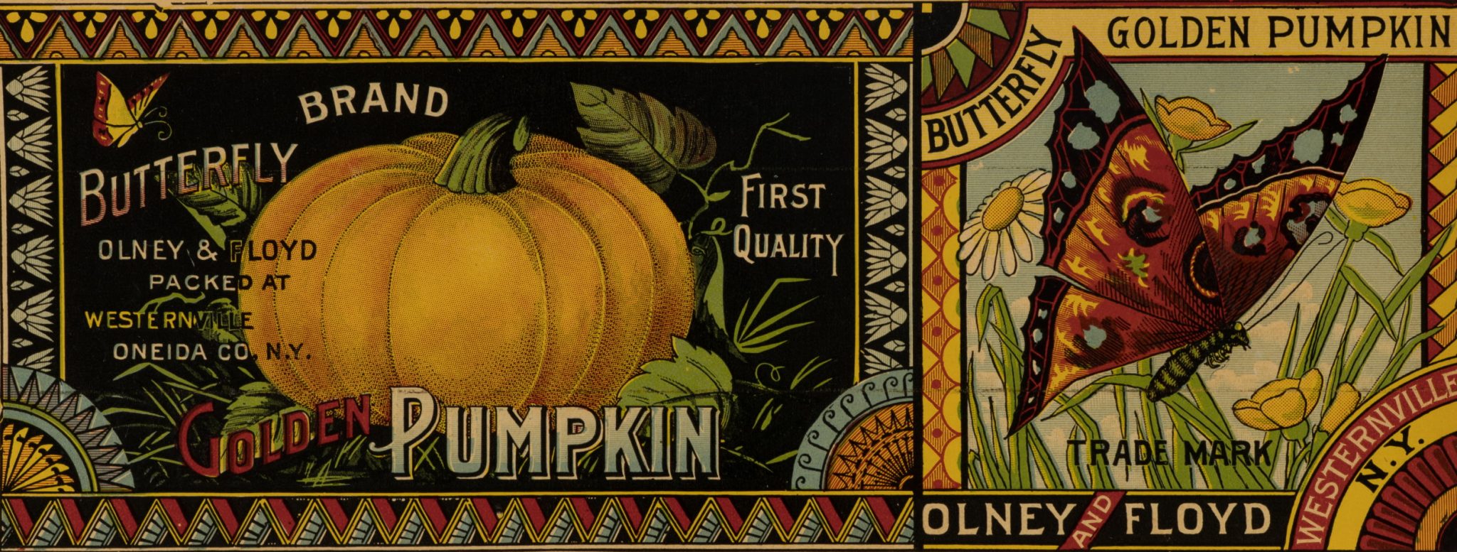 Butterfly Pumpkin Etikett