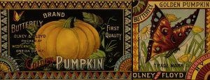 Butterfly Pumpkin Etikett