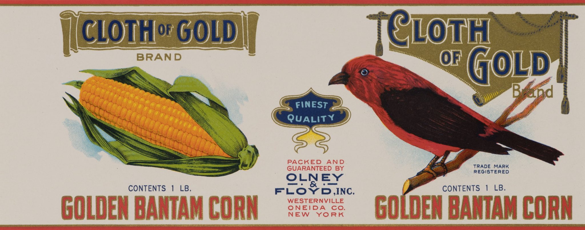 Cloth of Gold Mais-Etikett