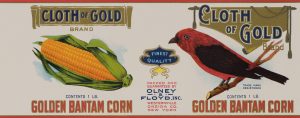 Cloth of Gold Mais-Etikett