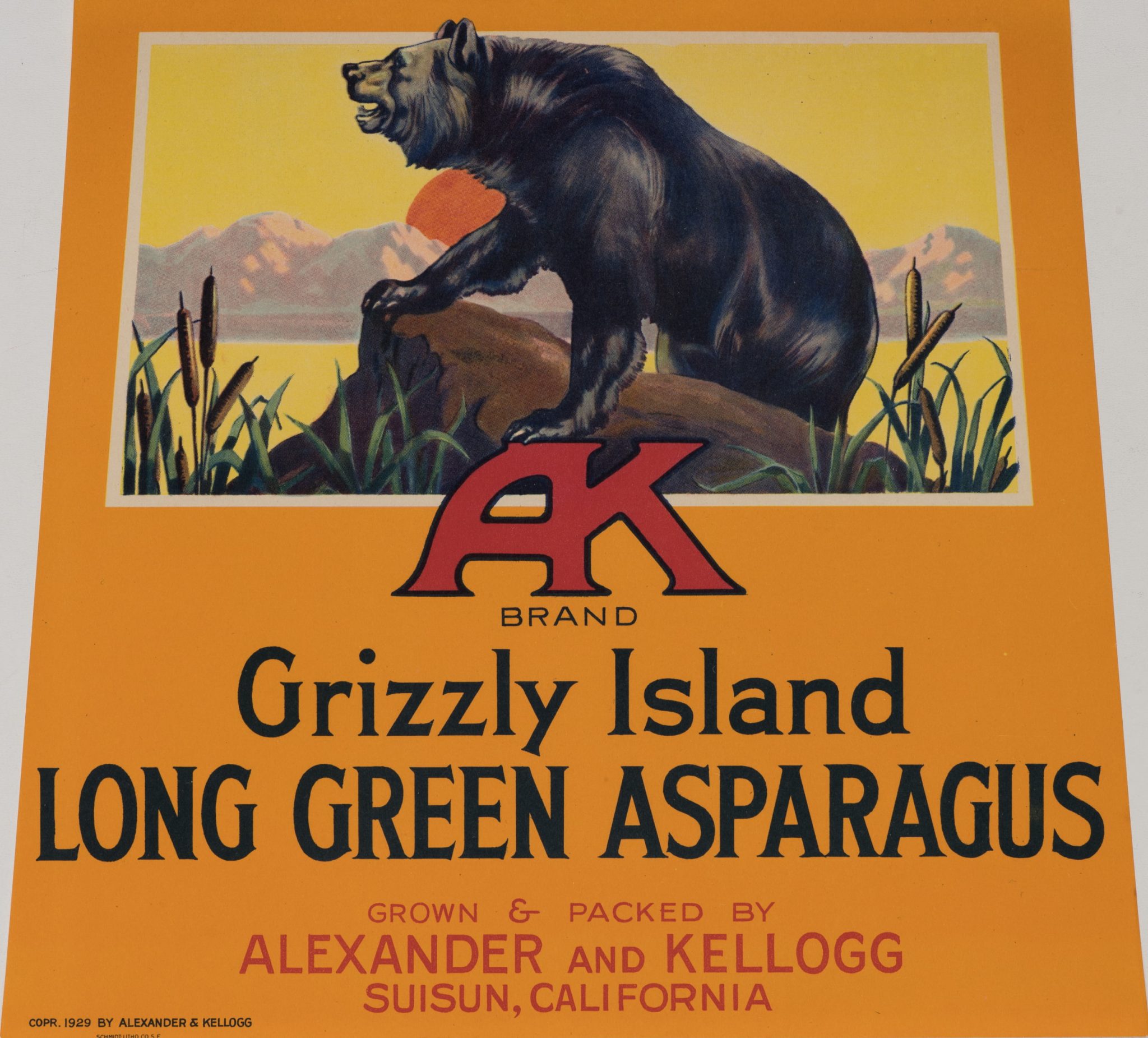 Grizzly Island Plakat