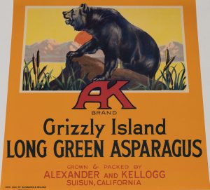 Grizzly Island Plakat