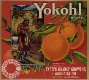 Yokohl Orangenwerbung