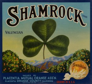 Shamrock Orangenwerbung