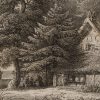 Ansicht 3