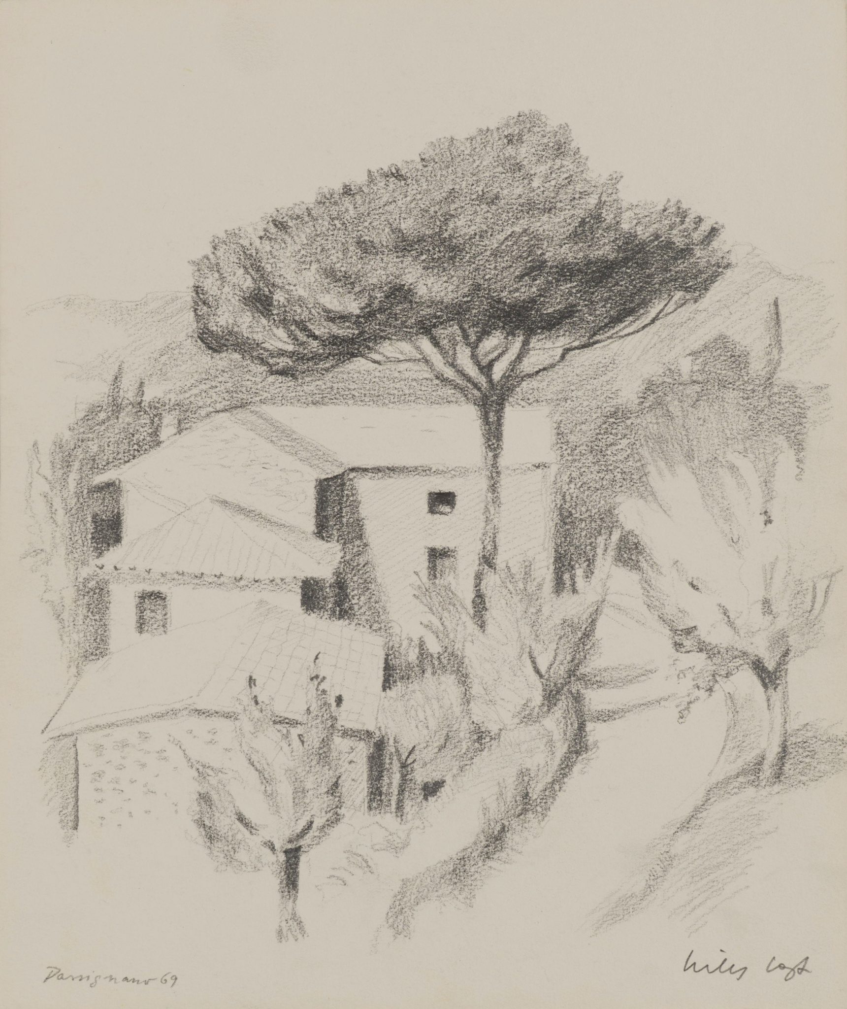 Pinie in Passignano