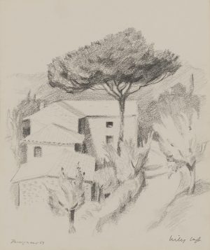 Pinie in Passignano