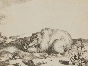 Ruhender Bär in Landschaft